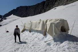 Из-за сильной жары ледники в Альпах исчезают с рекордной скоростью -  Reuters — УНИАН